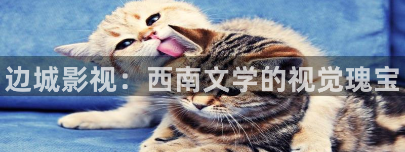 神马电影我不卡在线观看：边城影视：西南文学的视觉瑰宝