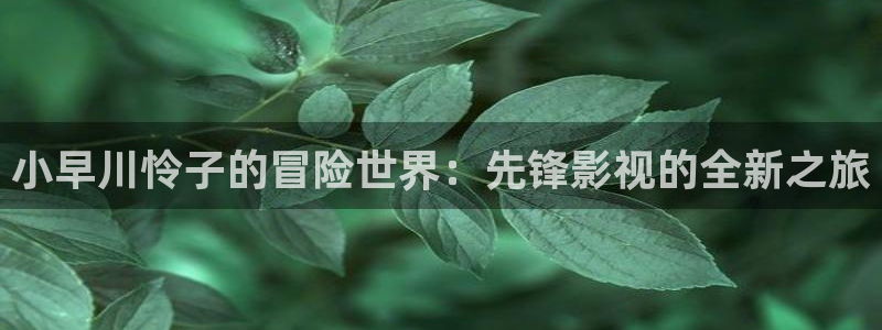 在线v电影不卡：小早川怜子的冒险世界：先锋影视的全新之旅