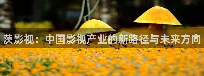 日本看片不卡：茨影视：中国影视产业的新路径与未来方向