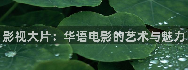 欧美日韩一区二区三区高清不卡：影视大片：华语电影的艺术与魅力