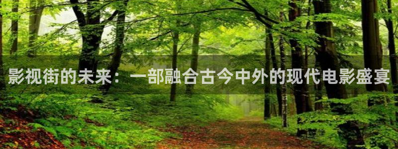 我不卡未来影院：影视街的未来：一部融合古今中外的现代电影盛宴