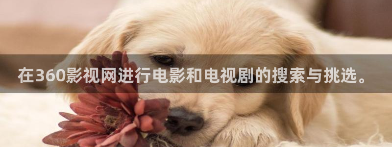 不卡一二一二影院：在360影视网进行电影和电视剧的搜索与挑选。
