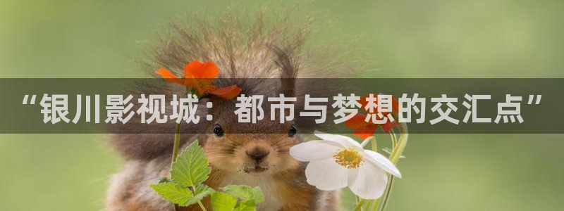 中文字幕在线不卡电影：“银川影视城：都市与梦想的交汇点”